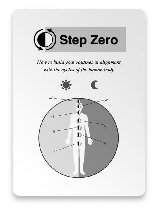 Step Zero (Book)